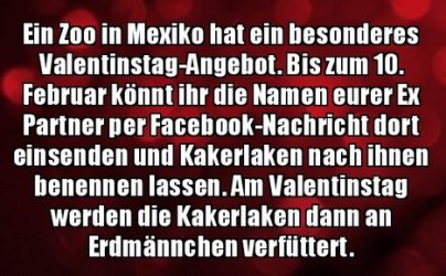 7Unbenannt.JPG
