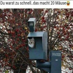 T2.jpg