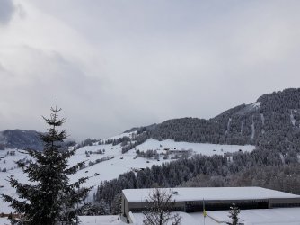20190211_102818-1612x1209.jpg