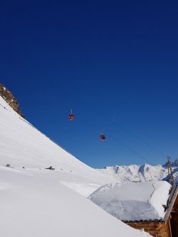 20190213_124026-1512x2016.jpg