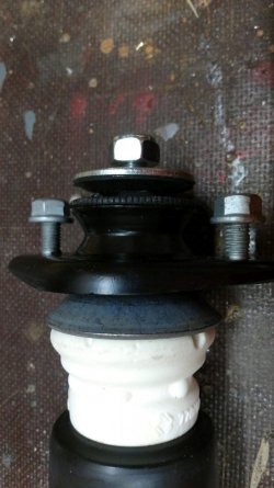 Koni-hinten.jpg