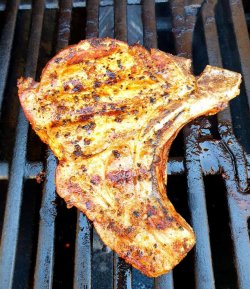 IMG-20190216-WA0009.jpg IMG-20190216-WA0009.jpg