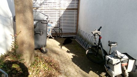 16.02.2019 001.jpg