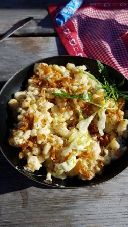 IMG-20190216-WA0003-1134x2016.jpeg IMG-20190216-WA0003-1134x2016.jpeg