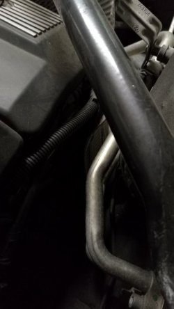 IMG_20190216_093013.jpg