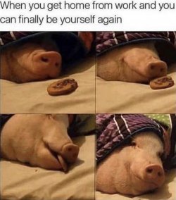 366477