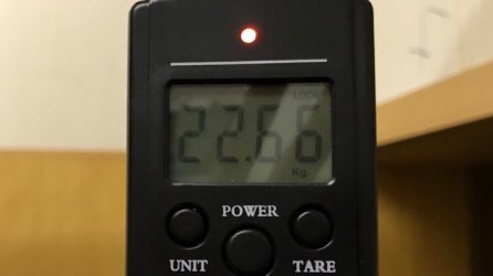 366663