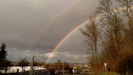 10.03.2019 013.jpg