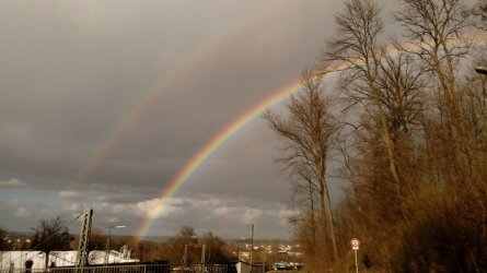 10.03.2019 012.jpg