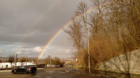 10.03.2019 007.jpg