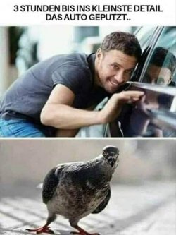 369205