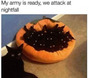369311