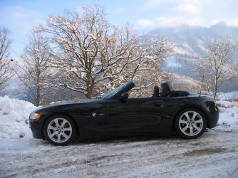 Winterzetti 001.jpg