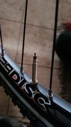 20190330_164525.jpg