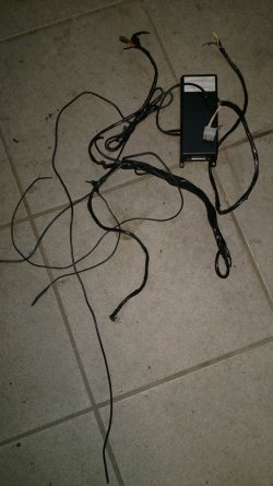 372233