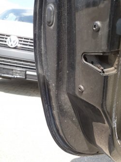 20190415_124947.jpg