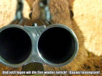 98AD60E5-3486-4698-A51A-A4EA15EE912F.jpeg