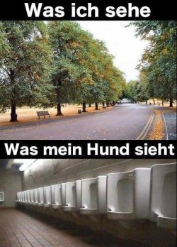 6Unbenannt.JPG