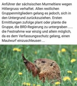 7Unbenannt.JPG