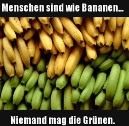 12Unbenannt.JPG