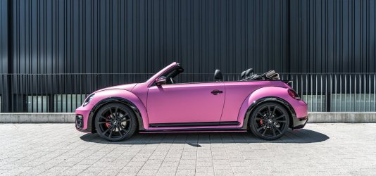 ABT_BEETLE_PINK_SEITE.jpg