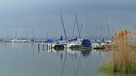 Bild 2.jpg