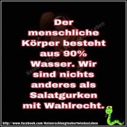 26299BAB-46E9-482B-ACC3-4AA34AB70D50.jpeg