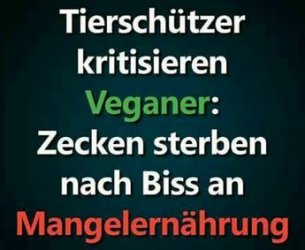 3Unbenannt.JPG