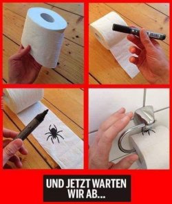 6Unbenannt.JPG