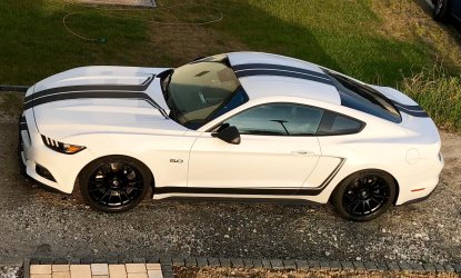 Mustang.jpg