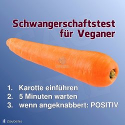 4A913793-A281-486D-A2B9-48175B6CCC79.jpeg