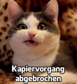tUnbenannt.JPG
