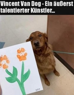 tUnbenannt.JPG