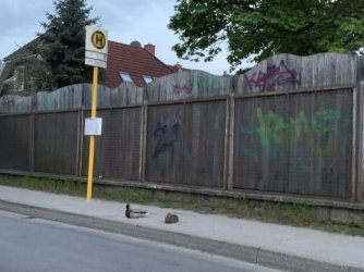 4Unbenannt.JPG