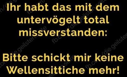 3Unbenannt.JPG