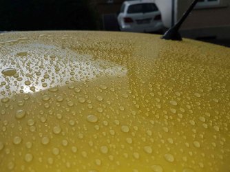 20190517_170922k247.jpg