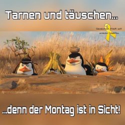 13502A9E-C97C-4E74-969C-4FAD8F8E7773.jpeg