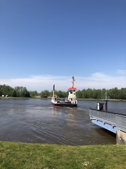 IMG_4956.JPG