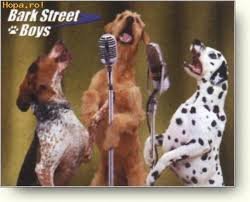 back street boys.jpg
