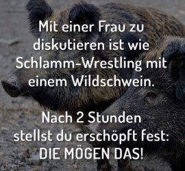 5Unbenannt.JPG