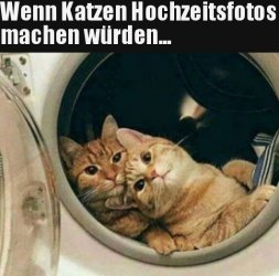 tUnbenannt.JPG