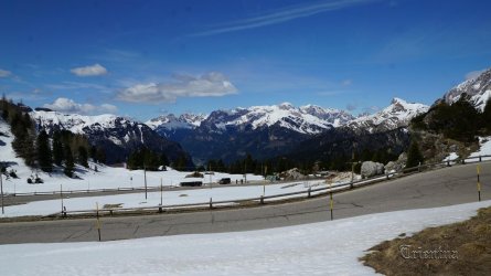 DSC07559.JPG