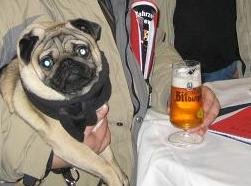 Oskar und das BIT_Ausschnitt.jpg