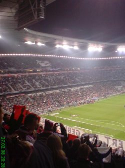 DSC00943 (Large).JPG