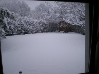 04.03.08..JPG