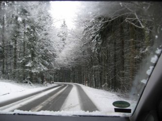 Schwarzwald.jpg