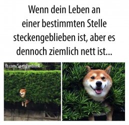 6945A2A5-AE93-4296-8F4D-7A00E24B7BDC.jpeg
