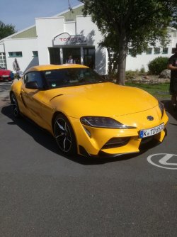 yellow.jpg