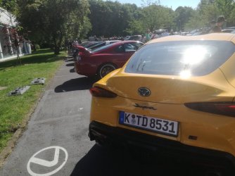 yellow back.jpg