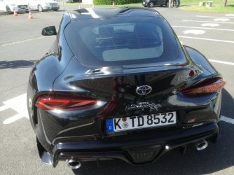 black back.jpg
